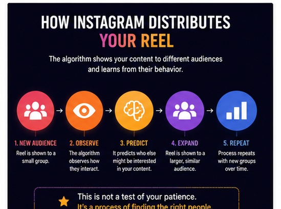 Instagram Reel distribution across different audiences